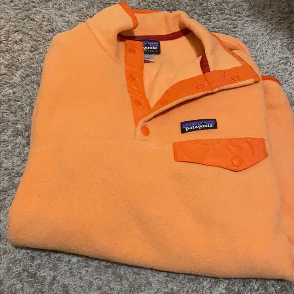 Patagonia snap up